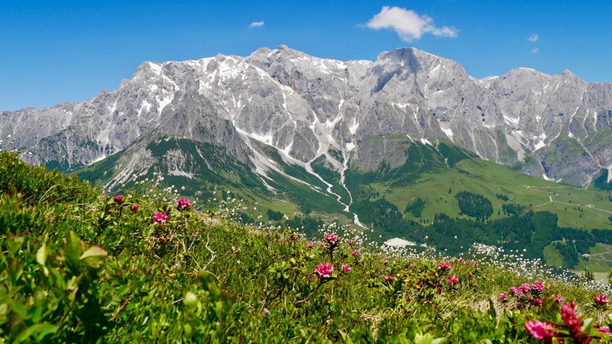 Landhaus Rieding Apartamento Mühlbach am Hochkönig Exterior foto