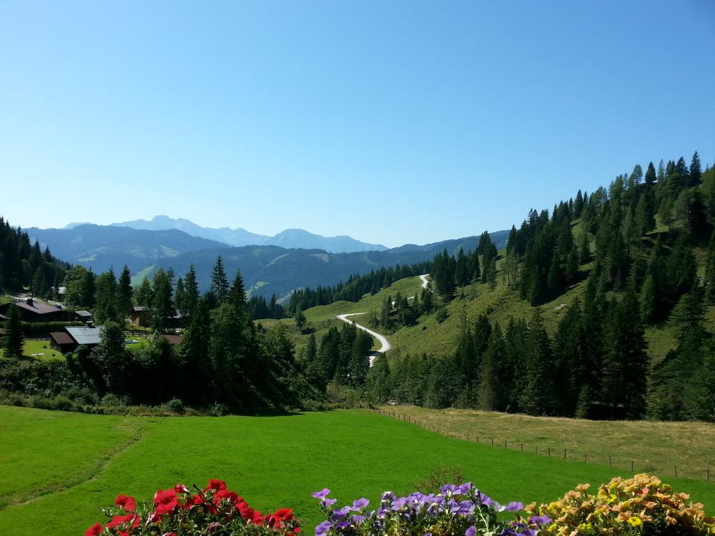 Landhaus Rieding Apartamento Mühlbach am Hochkönig Exterior foto